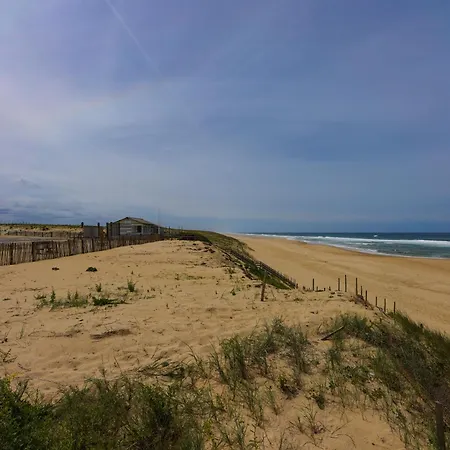 Nitedo- Maison Avec Jardin Et Terrasse - 200m Et Foret * Mimizan-Plage