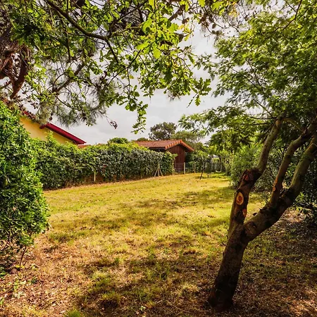 Nitedo- Maison Avec Jardin Et Terrasse - 200m Et Foret Prázdninový dům *
