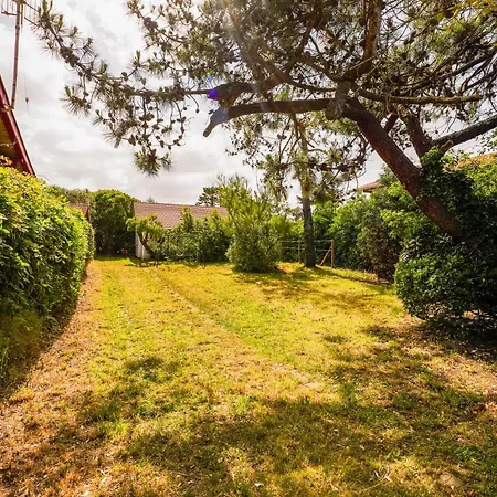 Ferienhaus Nitedo- Maison Avec Jardin Et Terrasse - 200m Et Foret Mimizan Plage