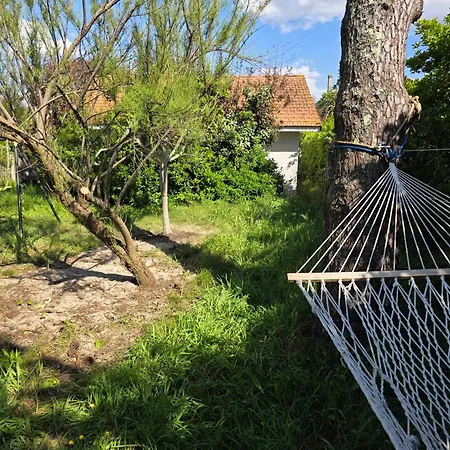 Nitedo- Maison Avec Jardin Et Terrasse - 200m Et Foret Mimizan-Plage